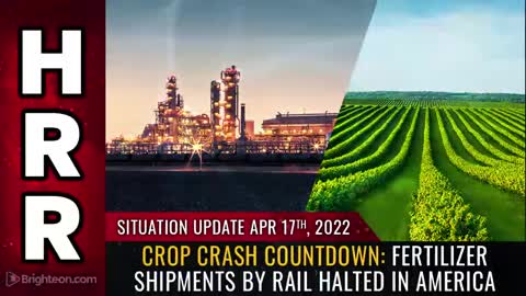 WHITE HOUSE CUT OFF GRAIN GROWING, RELATED SHIPMENTS