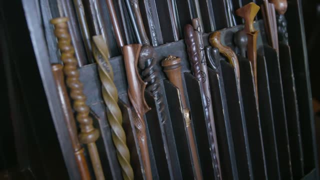 Fantastic Beasts and Where to Find Them - Highlight Reel from A Celebration of Harry Potter [HD]
