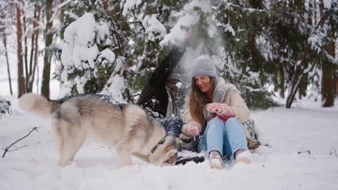 my dog ​​playing with snow dog video full HD dog lover