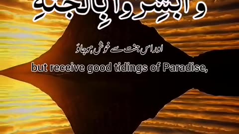 Quran ki tilawat