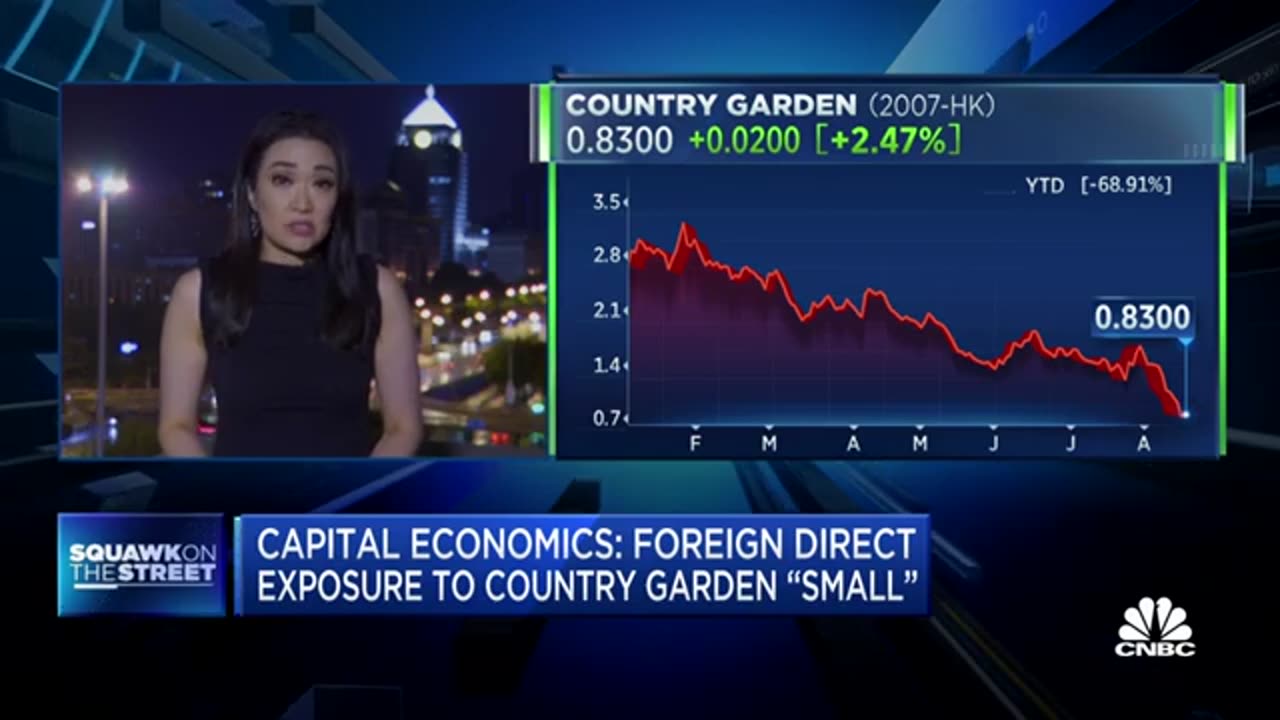 Country Garden's economic fallo