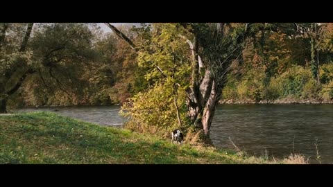 How to Shoot CINEMATIC VIDEO with your iPhone