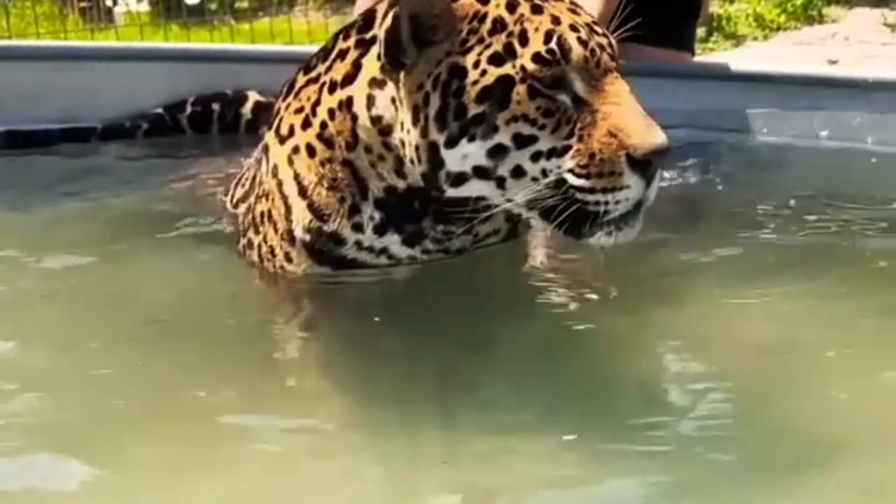 everyone needs cool water in this heat 🥰