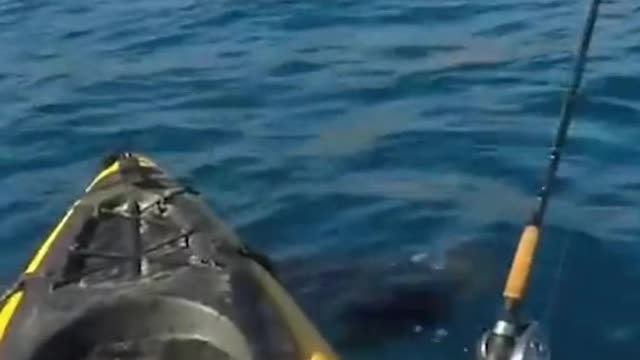 These people where out floating when Jaws came for a snack