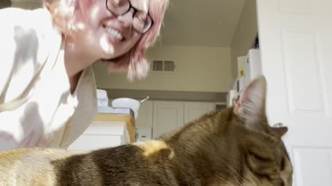 Pets Crash Stretching How To