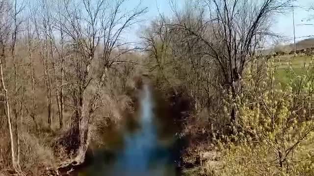 Anthony Kill Creek about 2 miles upstream