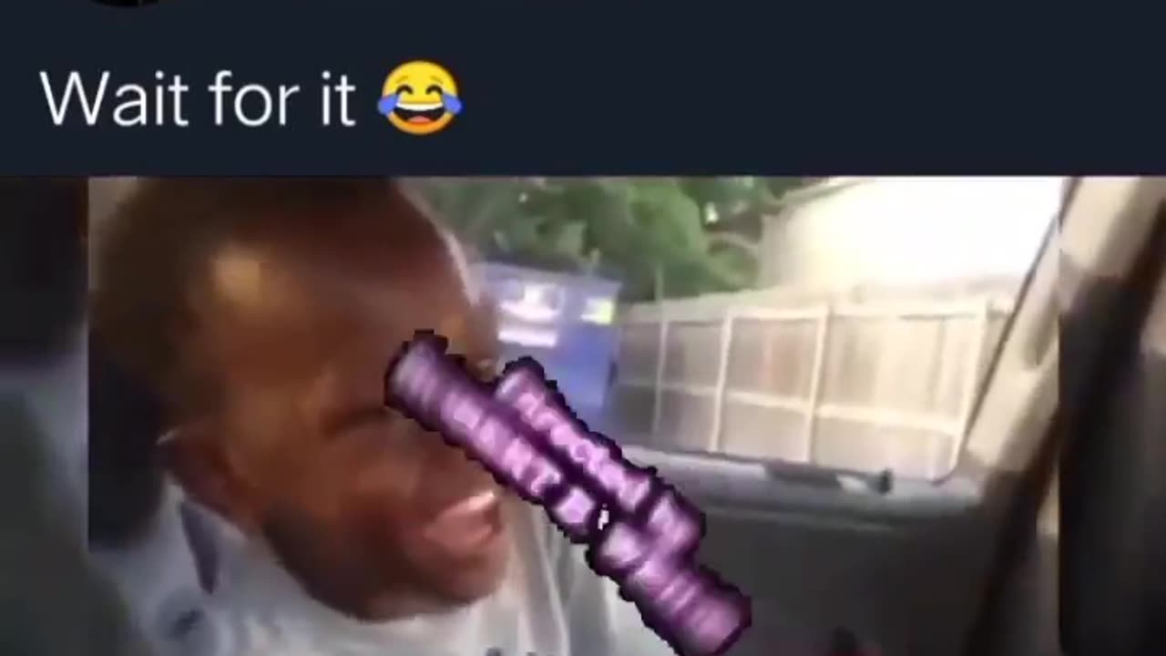 Most funny memes video