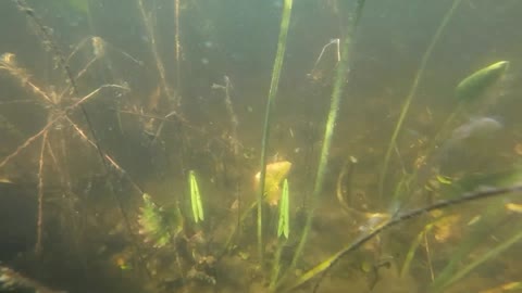 Underwater Adventure