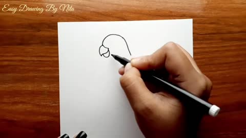 Parrot Drawing -- How to Draw Parrot Step by Step for Beginners -- Bird Drawing Colour