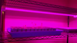 Grow light install