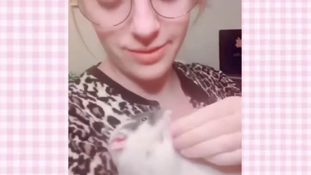 Pet Rat Tik Toks Cuz I Love Rats