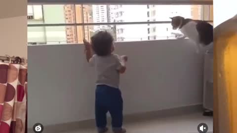 Cat Protecting