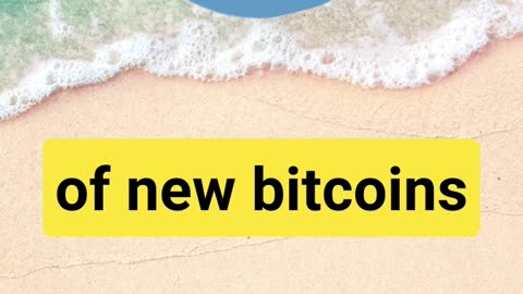 What does the Bitcoin Halving mean for the Price of Bitcoin?