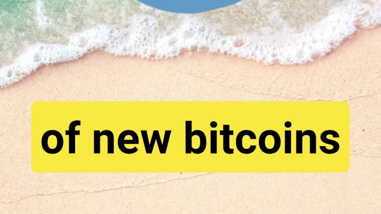 What does the Bitcoin Halving mean for the Price of Bitcoin?