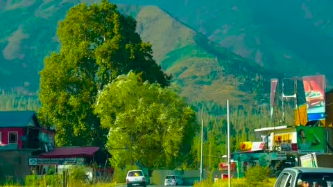Beauty of Nature