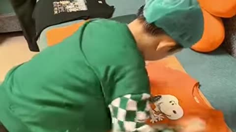 This little guy got an interesting folding technique 🥰