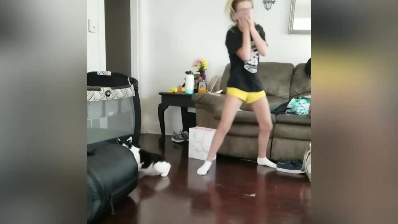 FUNNY CAT VIDEOS 𤣠TRY NOT TO LAUGH CHALLENGEā¤
