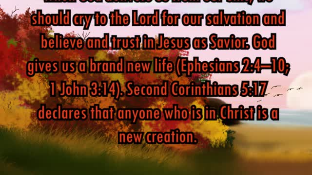 Daily Message from Rev. Ernie, October 11 2022