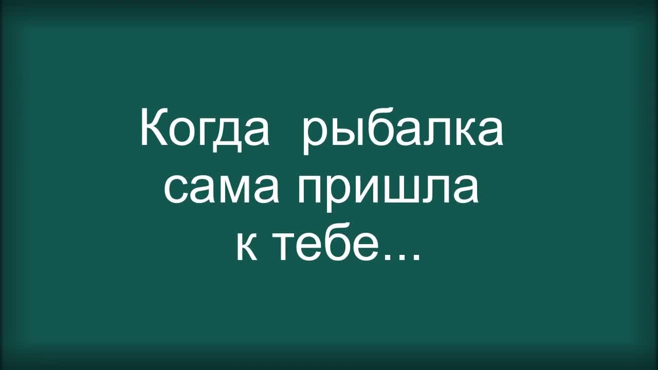 Кот Рыболов. Кошачья Рыбалка! Приколы с Котами. Видео