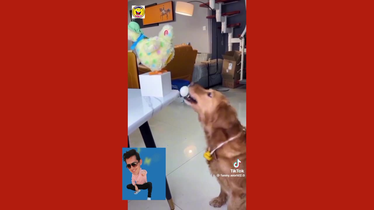 #doglovers😊#funnyvideo#viralshorts