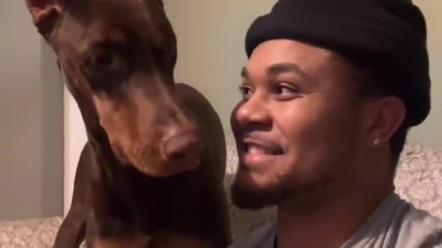 Bark At Your Dog