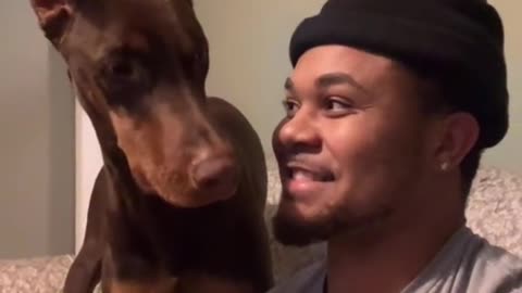 Bark At Your Dog