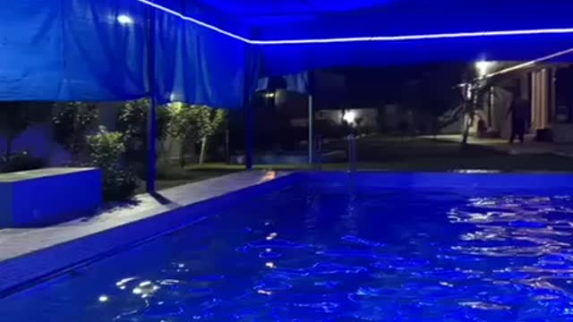 POOL VIBE #NIGHT #PARTY #COOL #POOLTIME