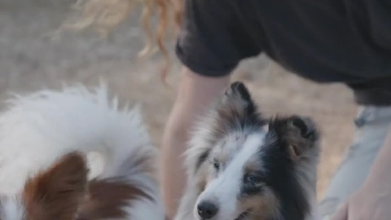 Women with beautiful dog