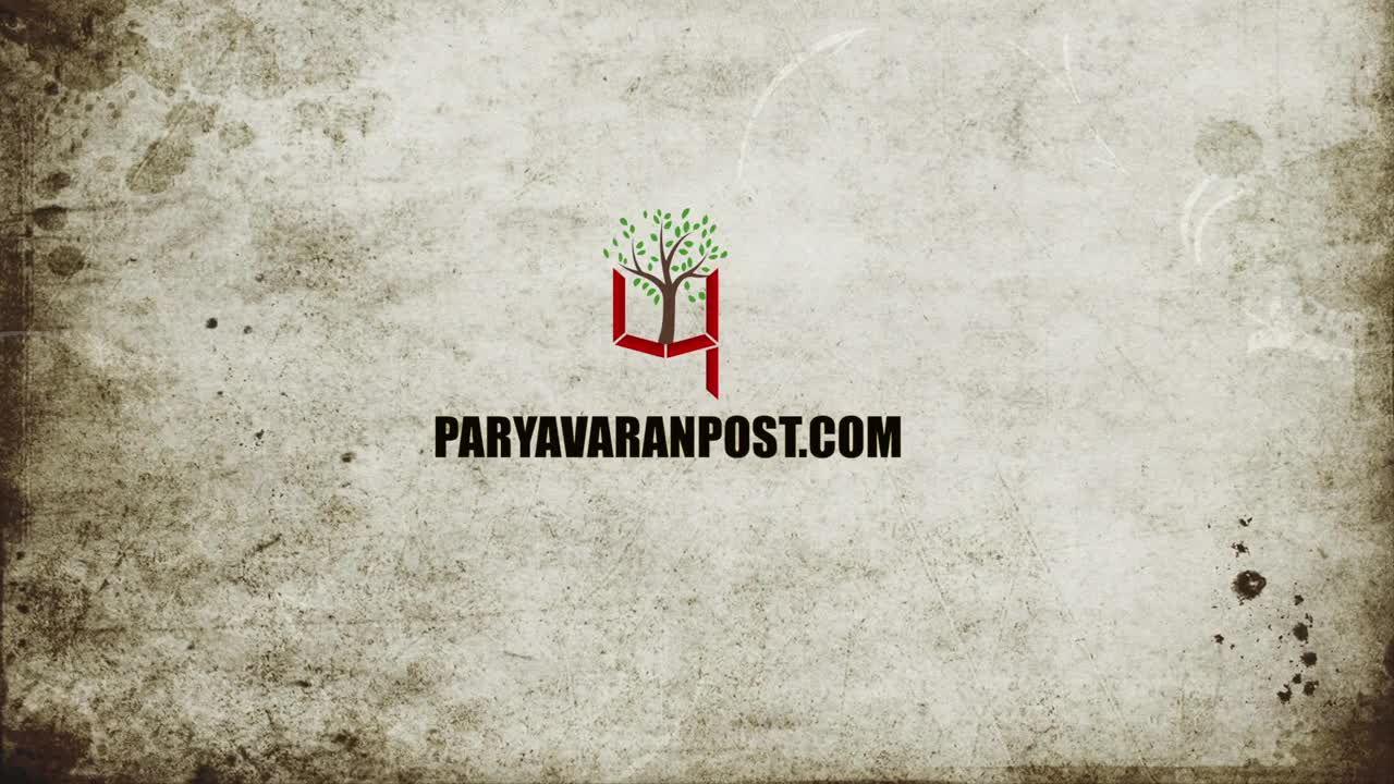 New Species Of Spider Found In India _ Paryavaran Post