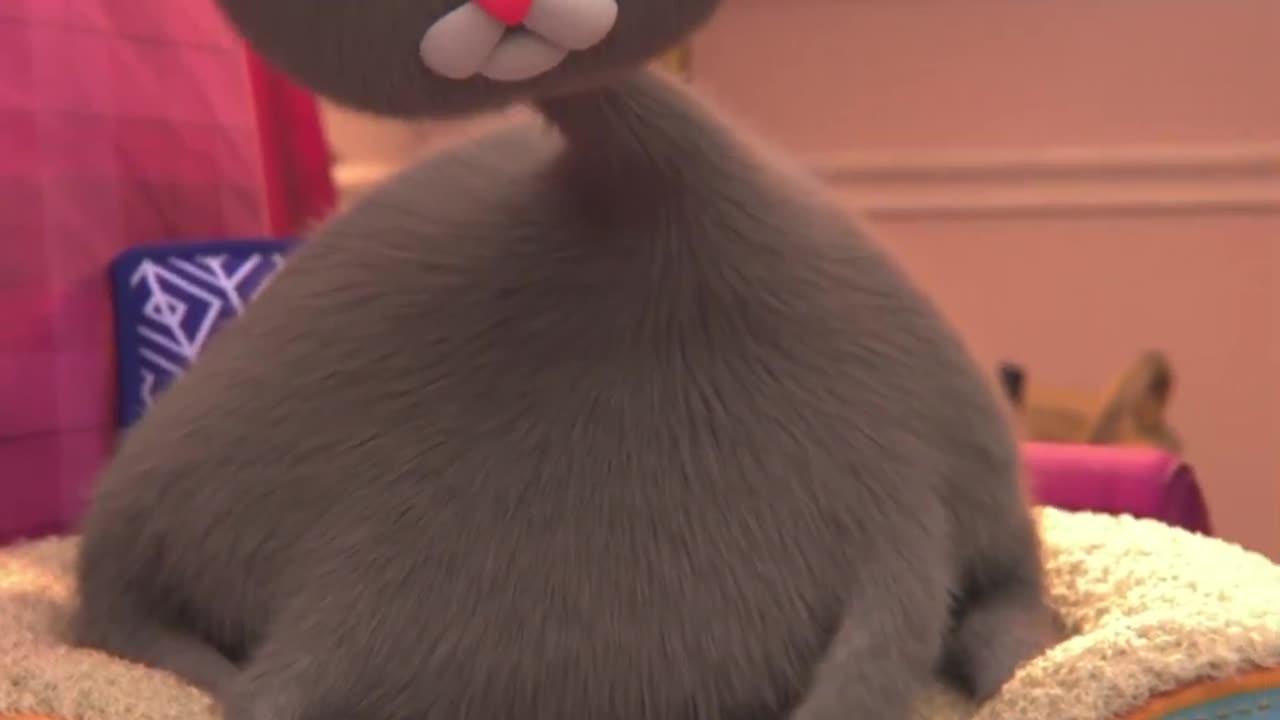 Cat pays the bills at any cost
