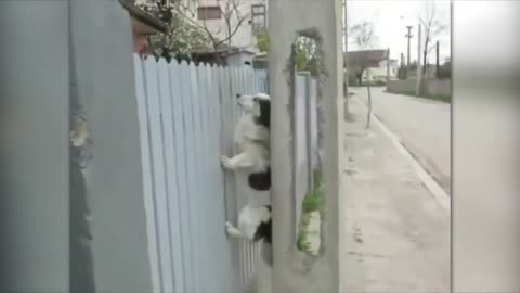 1 in a Million Luckiest Moments Caught On Camera ! Caught On Security Cameras & CCTV