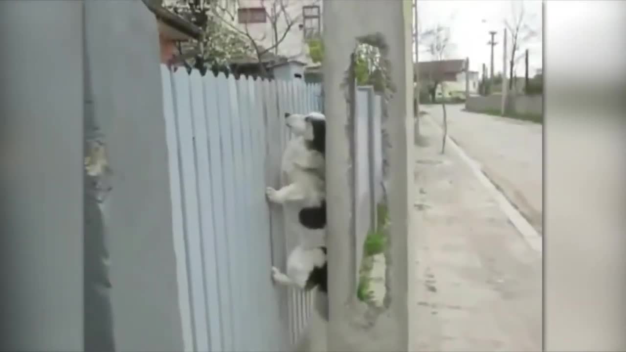 1 in a Million Luckiest Moments Caught On Camera ! Caught On Security Cameras & CCTV