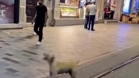 Having fun!