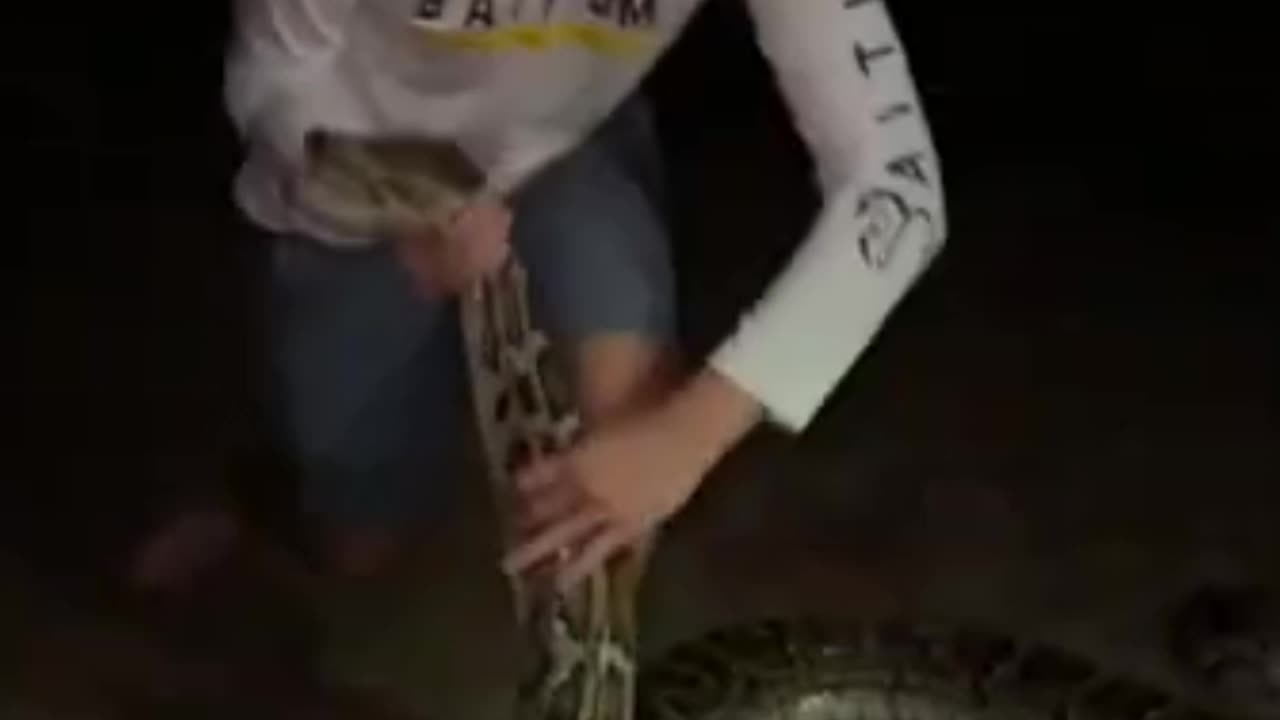 That's big snake !!!!!