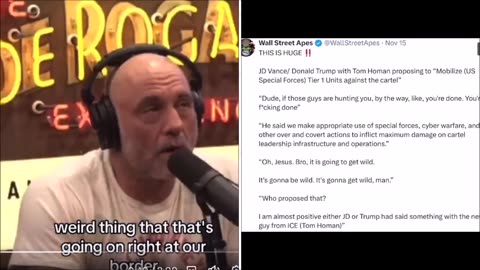 ROGAN ON CARTELS AND WHAT IS TO COME