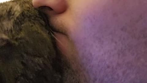 Is my cat cleaning his teeth on my face