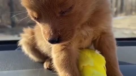 So cute.