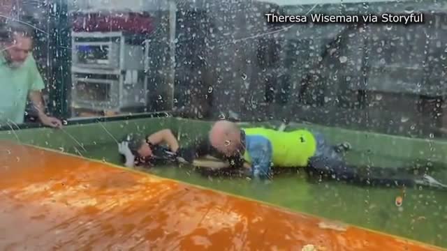 OMG - SHOCKING: Video shows alligator attack during kid's birthday party
