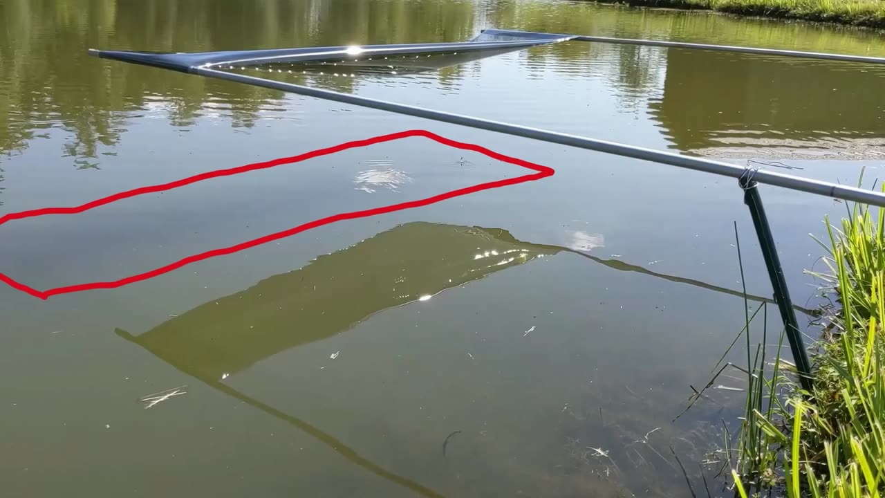 Field experiment on the response of spiders to polarized light