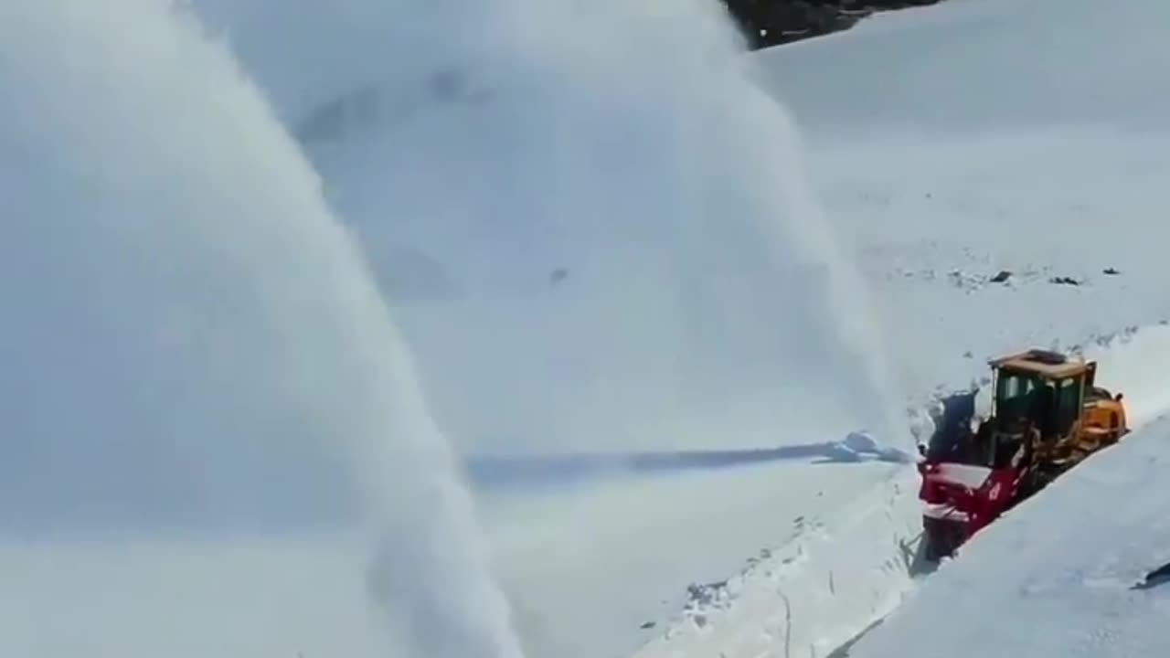 Beauty of snow fall