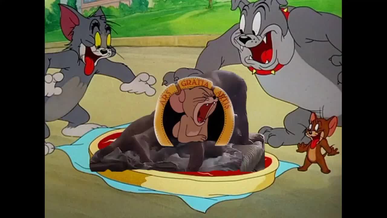 ANAM ANAM SERDAR TOM & JERRY EDİTİON