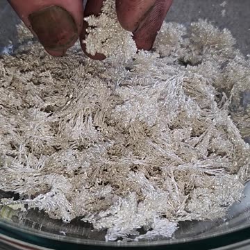 Flock it Farm: Refining Silver