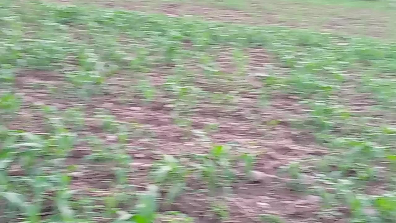 Beautiful valley in Pakistan | river view | beautiful village | Natural views