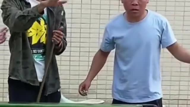 funny videos