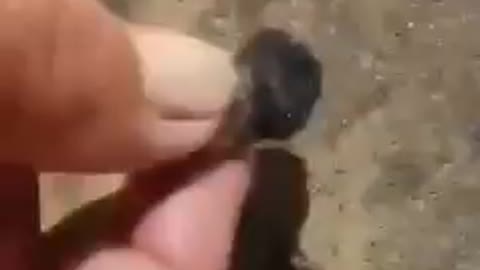 GRAPHENE OXIDE - SPRAYED ON BEACHES - 4 min.