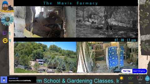 Life on Doc's Farm : Mavis Institute 🎵 🐓🦆🐝🐇🐖: Farmcore