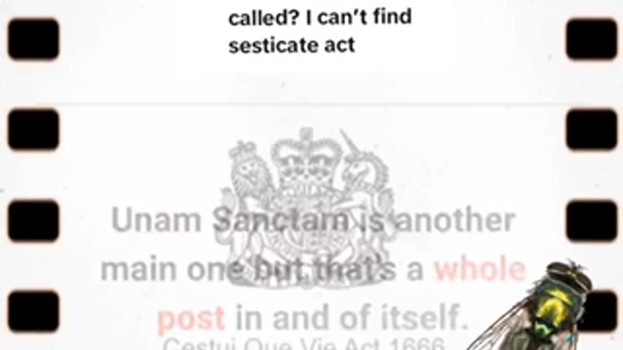 The Truth About Why We Have Birth Certificates