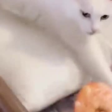 hahahah🥰🥰😂😂😂😂