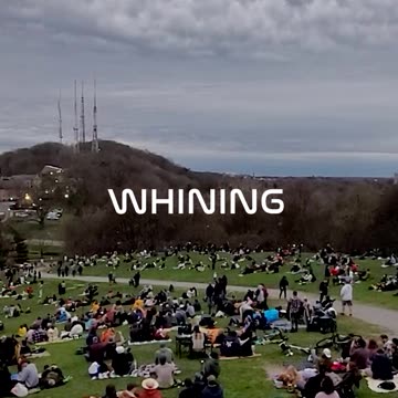 Dogs React To Total Solar Eclipse 2024 Light Fluctuations Minutes Before Totality