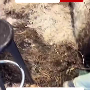 Look at that buddy 😳#paris #france